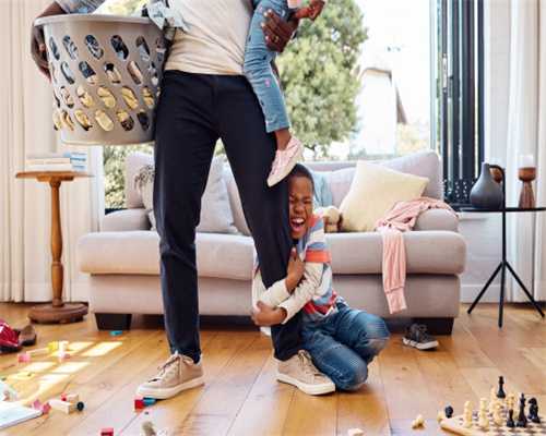 供卵机构-拮抗剂方案促排后能取出多少卵泡？这四个因素都影响着取卵的数量