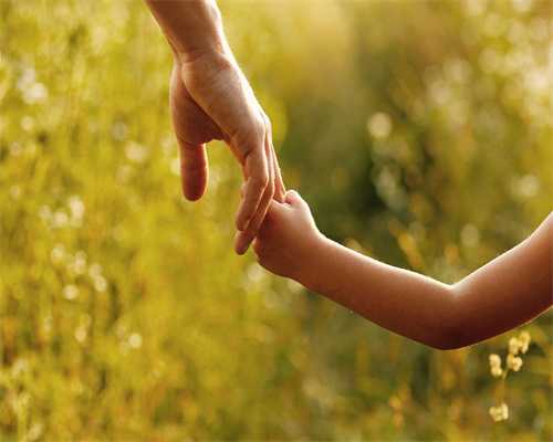 三代试管囊胚筛选的通过率有多少?哪一等级的囊胚成功率高?